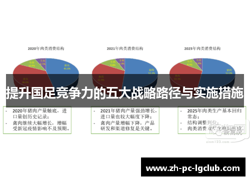 提升国足竞争力的五大战略路径与实施措施 提升国足竞争力的五大战略路径与实施措施