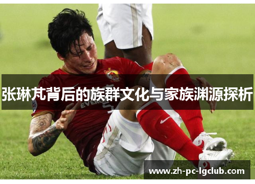 张琳芃背后的族群文化与家族渊源探析