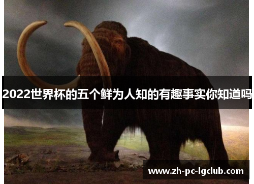 2022世界杯的五个鲜为人知的有趣事实你知道吗 2022世界杯的五个鲜为人知的有趣事实你知道吗