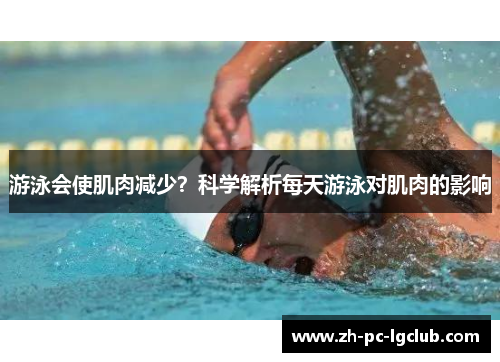 游泳会使肌肉减少?科学解析每天游泳对肌肉的影响 游泳会使肌肉减少?科学解析每天游泳对肌肉的影响