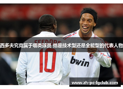 西多夫究竟属于哪类球员 他是技术型还是全能型的代表人物 西多夫究竟属于哪类球员 他是技术型还是全能型的代表人物