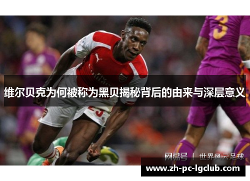 维尔贝克为何被称为黑贝揭秘背后的由来与深层意义 维尔贝克为何被称为黑贝揭秘背后的由来与深层意义
