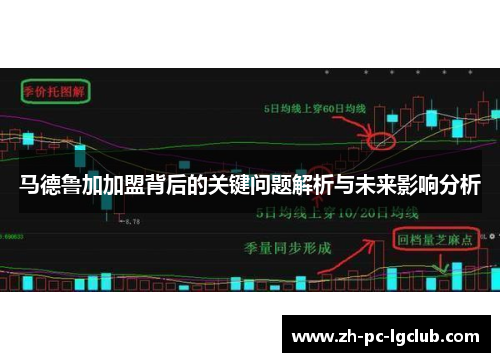 马德鲁加加盟背后的关键问题解析与未来影响分析 马德鲁加加盟背后的关键问题解析与未来影响分析