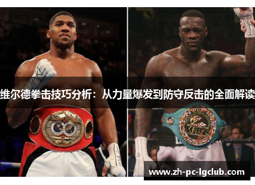 维尔德拳击技巧分析：从力量爆发到防守反击的全面解读